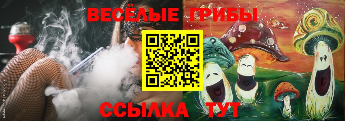 Галлюциногенные грибы мицелий  Вход с VPN  Михайловка  Псилоцибиновые грибы мицелий 